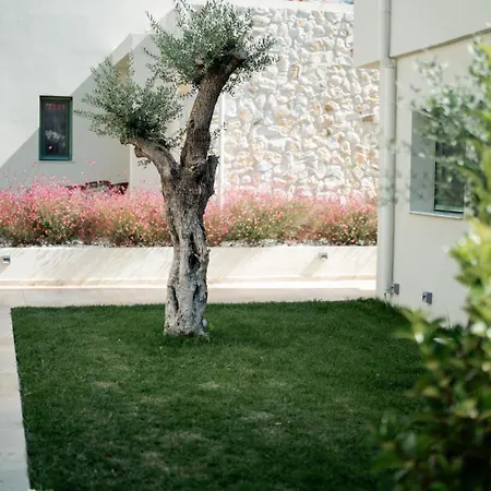 Вилла Magnolia Thassos