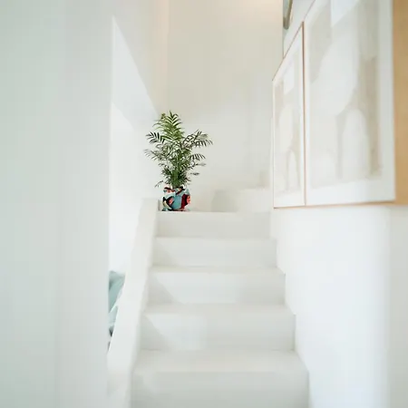 Magnolia Thassos Potos